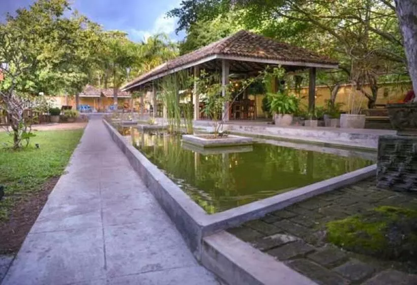 Fotos del hotel Vibration:  2