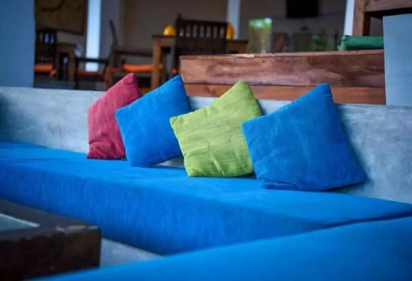 Fotos del hotel Vibration:  22