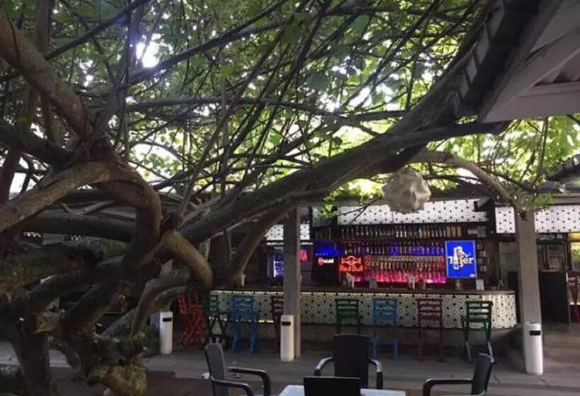 Fotos del hotel Vibration:  25