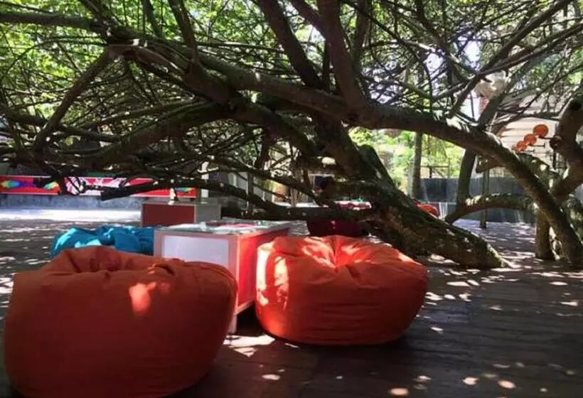 Fotos del hotel Vibration:  13