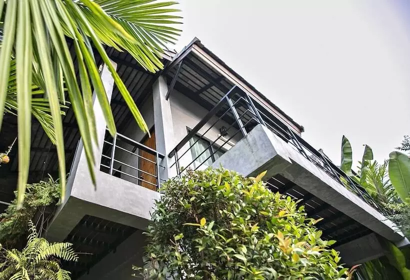 Fotos del hotel Payi Resort:  18