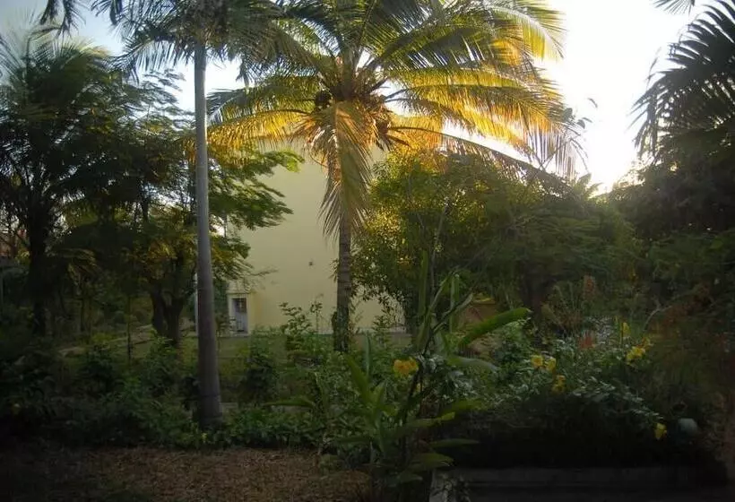 Fotos del hotel Ar Sun:  19