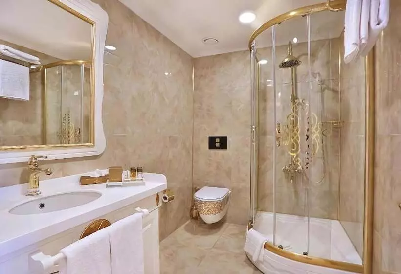 Fotos del hotel Emirhan Palace:  5