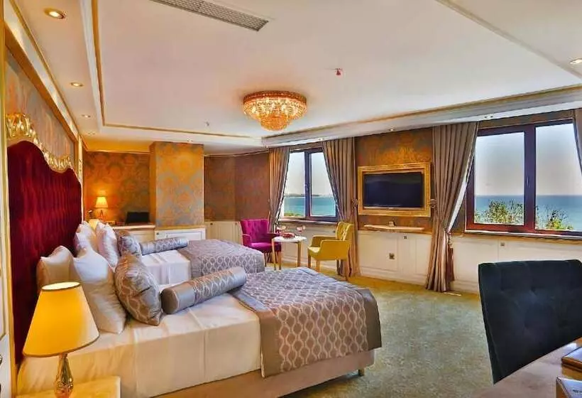 Fotos del hotel Emirhan Palace:  8