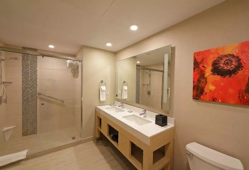 Fotos del hotel Hyatt Place Tegucigalpa:  15