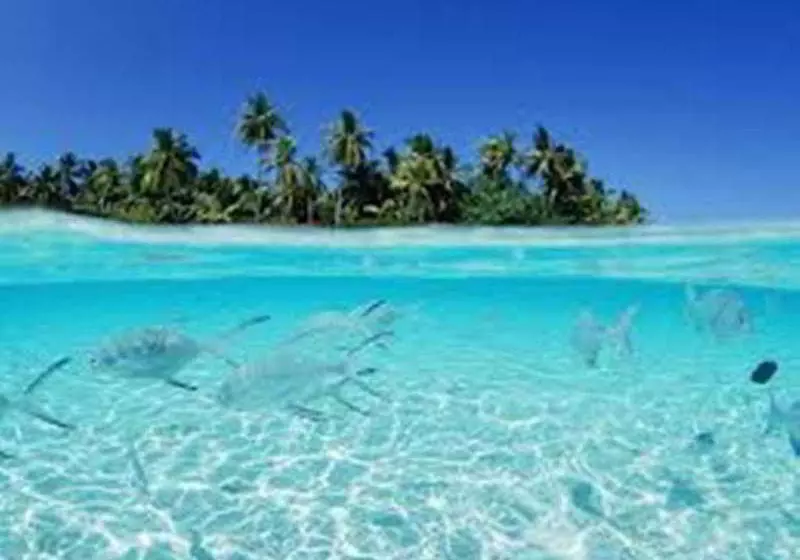 Fotos del hotel Luckyhiya:  13