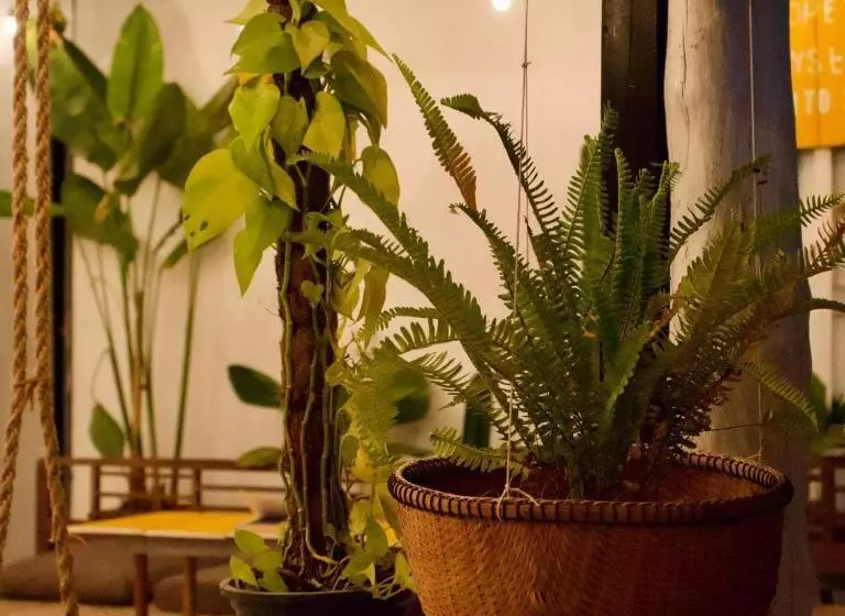 Fotos del hotel Vimean Sovannaphoum Resort:  23