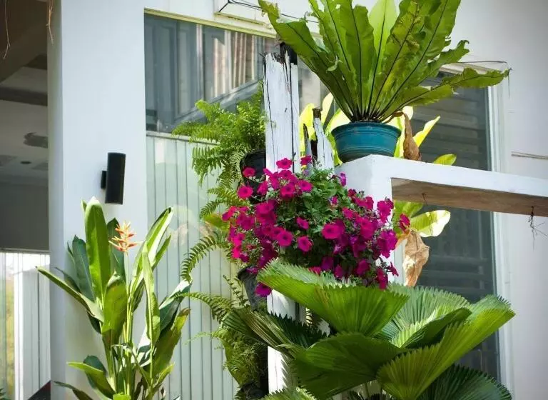 Fotos del hotel Vimean Sovannaphoum Resort:  21