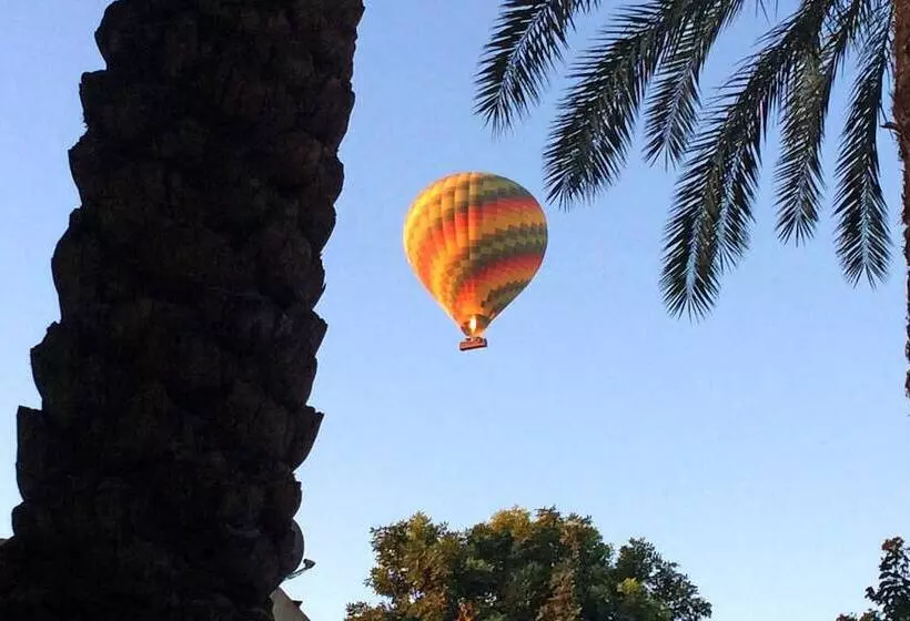 Fotos del hotel Sheherazade Luxor:  11