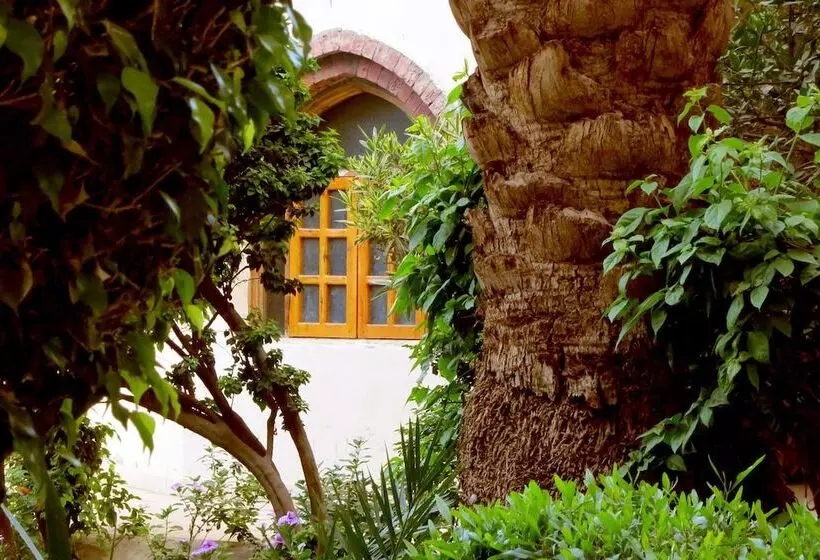 Fotos del hotel Sheherazade Luxor:  7