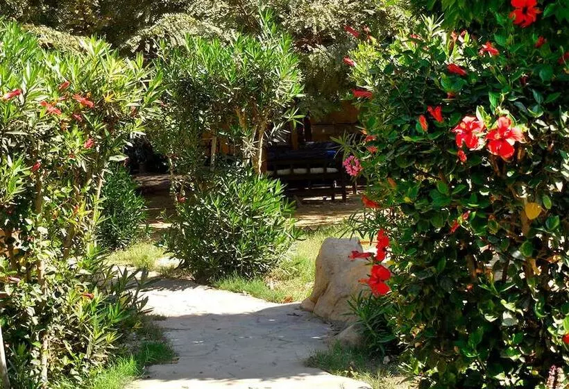 Fotos del hotel Sheherazade Luxor:  15