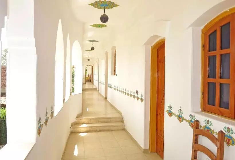 Fotos del hotel Sheherazade Luxor:  3