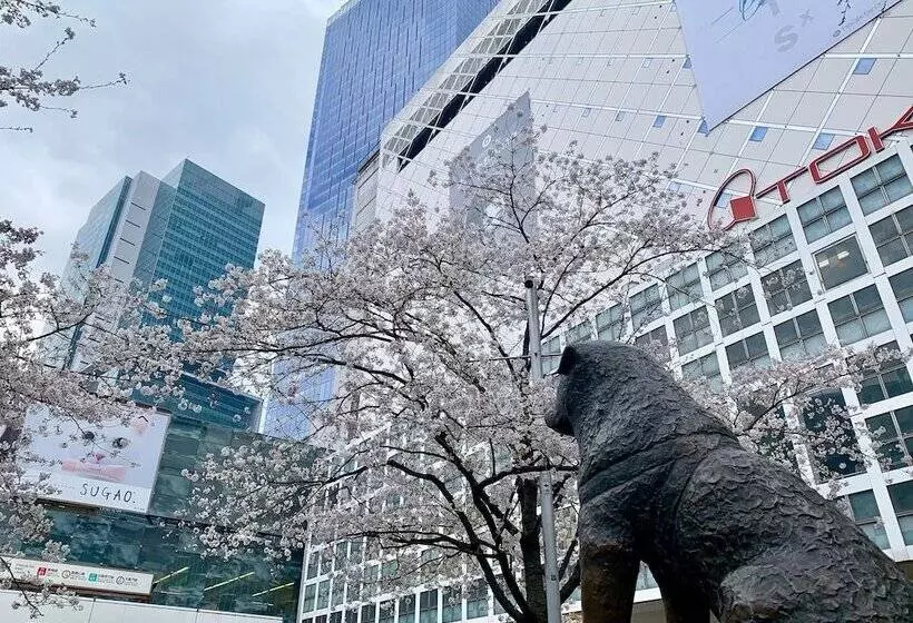 Fotos del hotel Apa  Shibuyadogenzakaue:  16