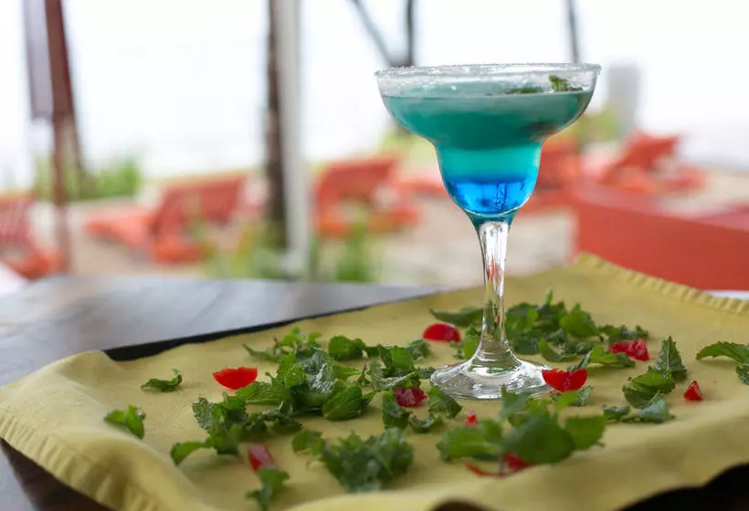 Fotos del hotel OC Hotel:  4