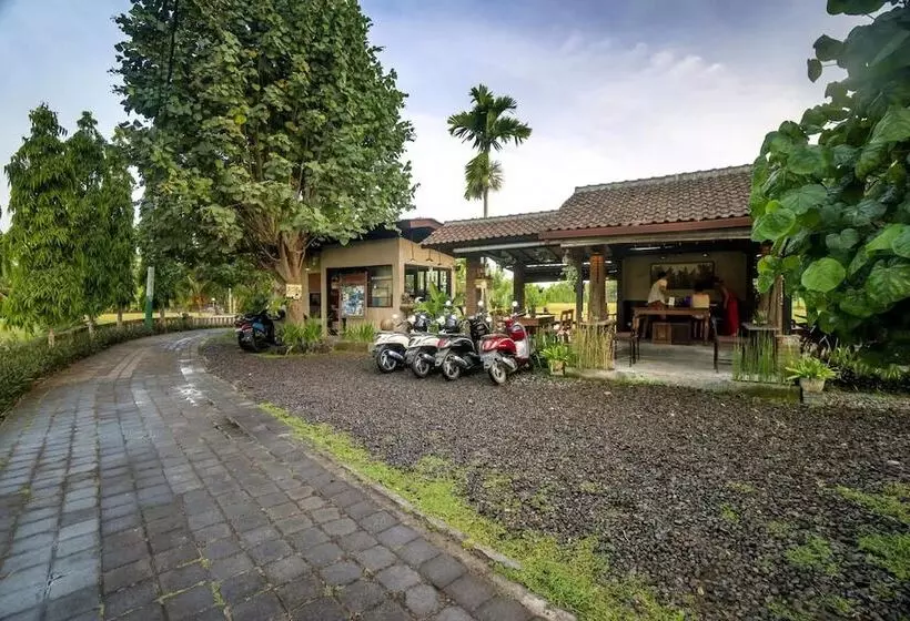 Fotos del hotel Uma Dana Ubud:  22