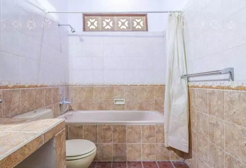 Fotos del hotel New Ananda Beach:  14