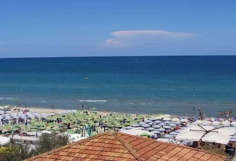 Fotos del hotel Sabra:  7