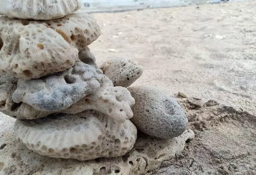 Fotos del hotel Grand House:  7