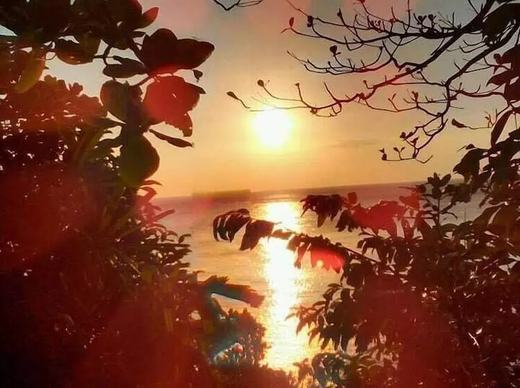 Fotos del hotel Grand House:  22