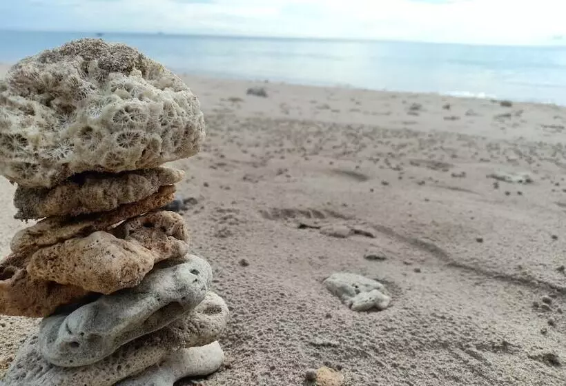 Fotos del hotel Grand House:  12