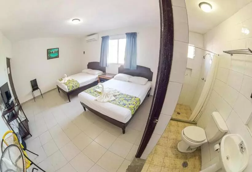 Fotos del hotel Isla De Sacrificio:  20