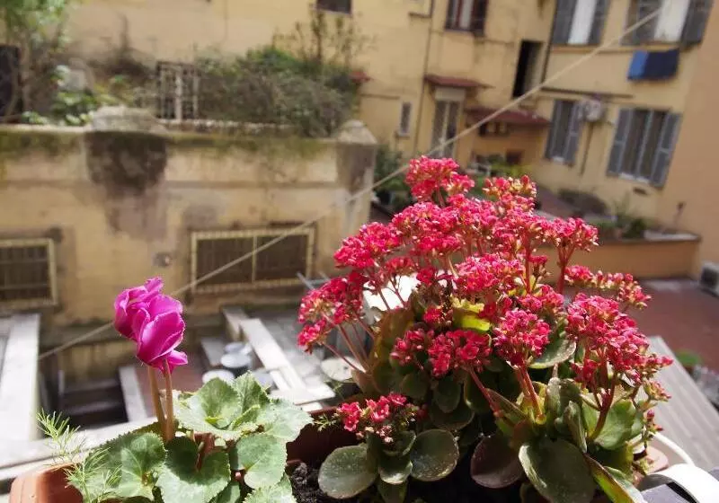 Fotos del hotel Palladini Hostel Rome:  8