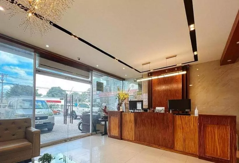 Fotos del hotel Diamond Spring:  3