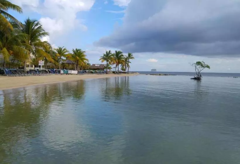 Fotos del hotel Las Palmas Beach:  7