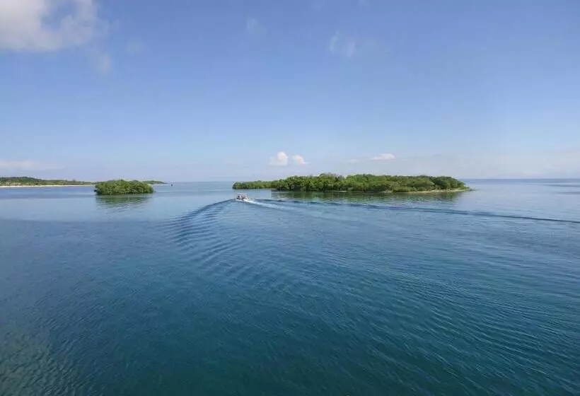 Fotos del hotel Las Palmas Beach:  6