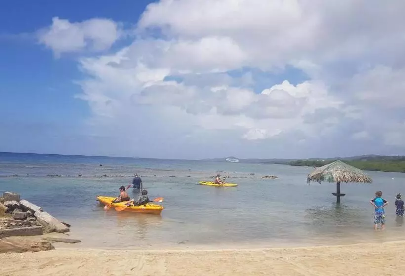 Fotos del hotel Las Palmas Beach:  18