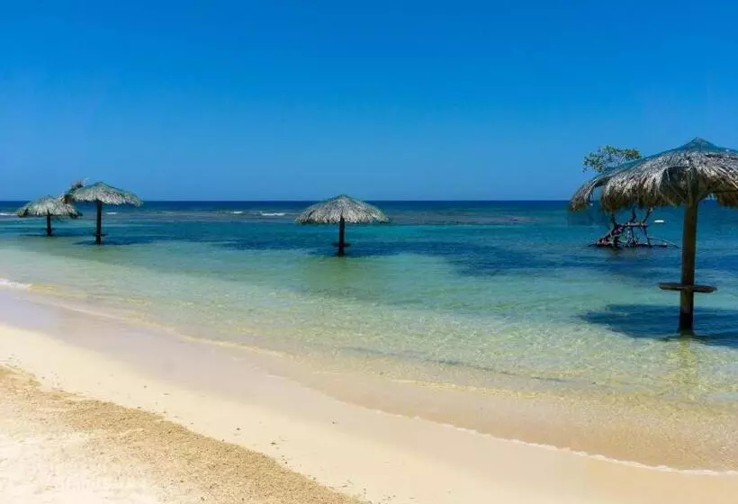 Fotos del hotel Las Palmas Beach:  10