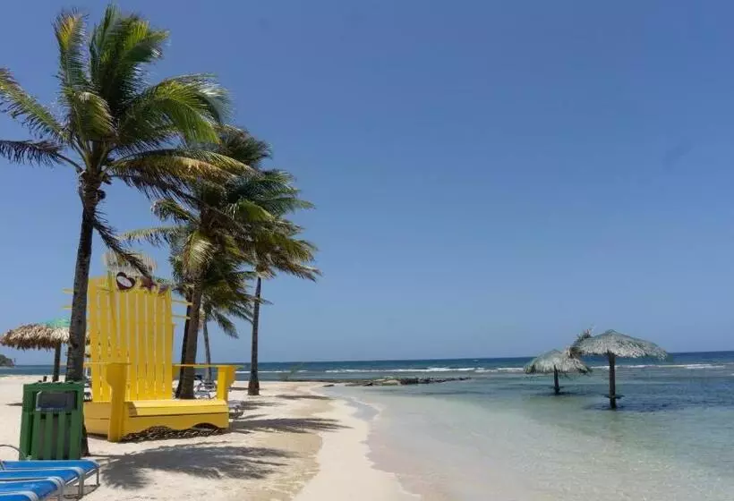 Fotos del hotel Las Palmas Beach:  14