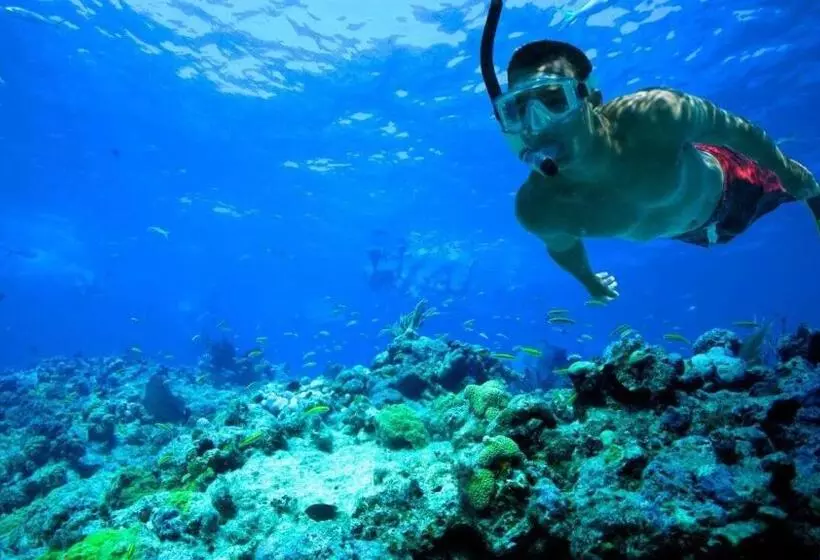 Fotos del hotel Las Palmas Beach:  5