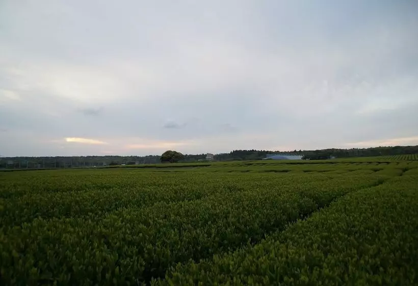 Fotos del hotel Jeju Aerospace:  3