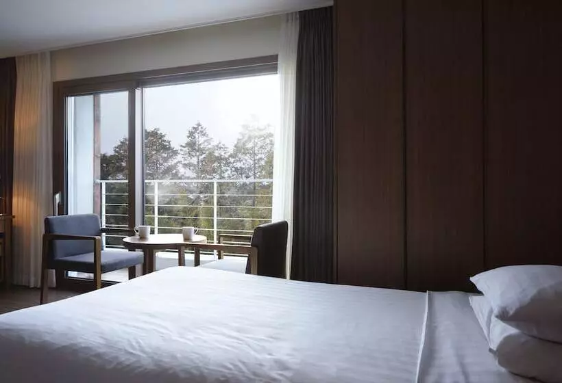 Fotos del hotel Jeju Aerospace:  20