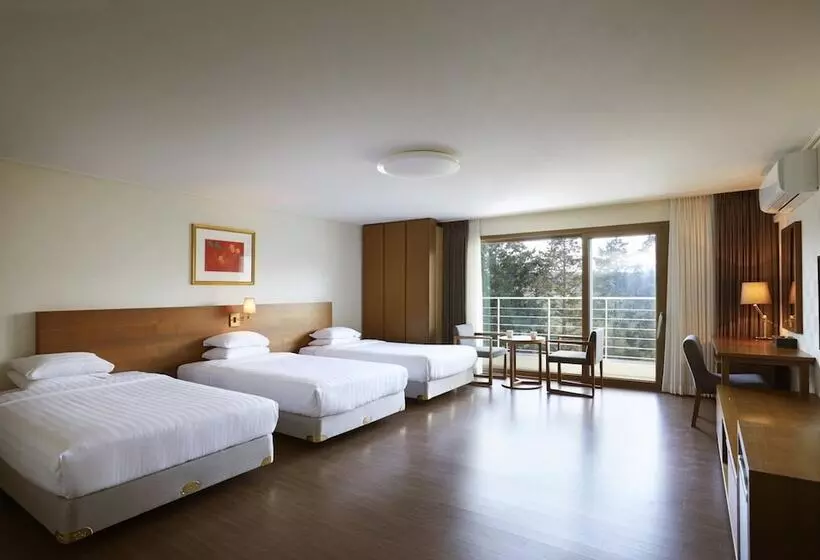 Fotos del hotel Jeju Aerospace:  16