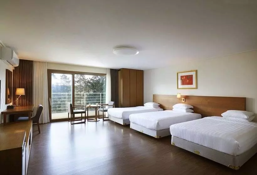 Fotos del hotel Jeju Aerospace:  13