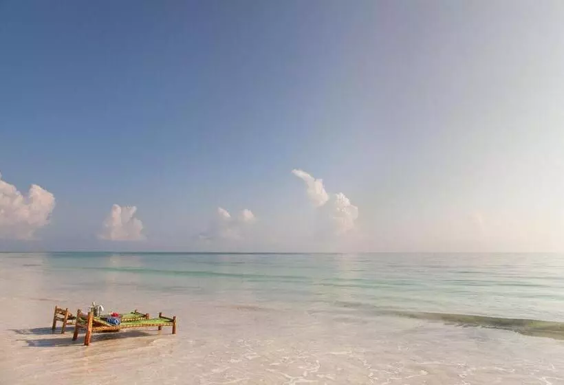 Fotos del hotel Kisiwa On The Beach:  11