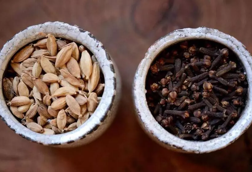 Fotos del hotel Kisiwa On The Beach:  13