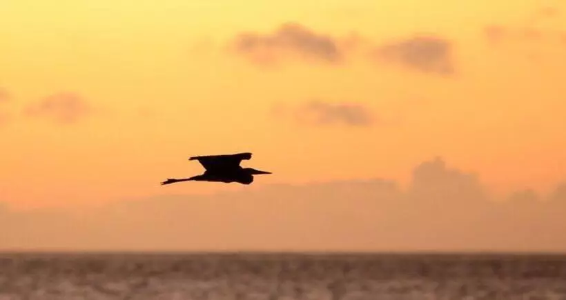 Fotos del hotel Kisiwa On The Beach:  21