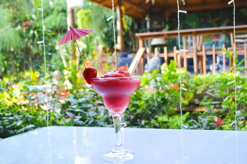 Fotos del hotel Brillasol Airport:  5