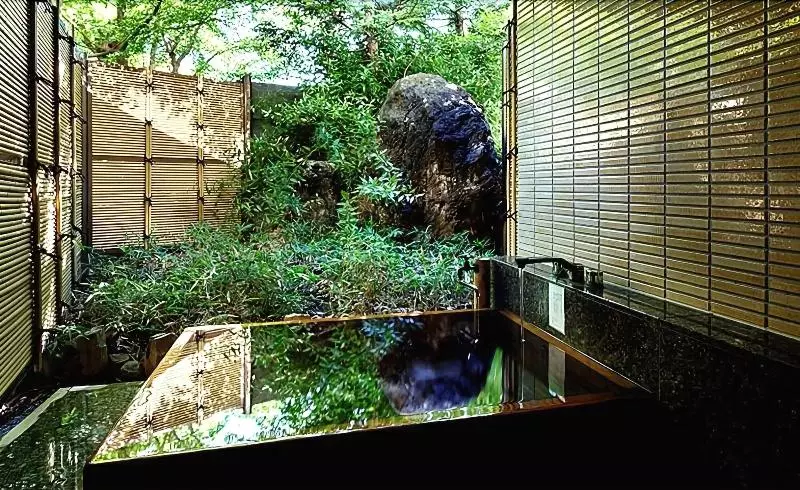 Fotos del hotel Fujiya:  16