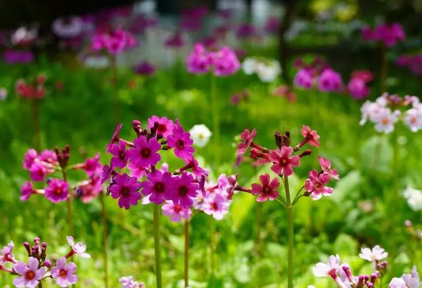 Fotos del hotel Kyukamura Nikkoyumoto:  5