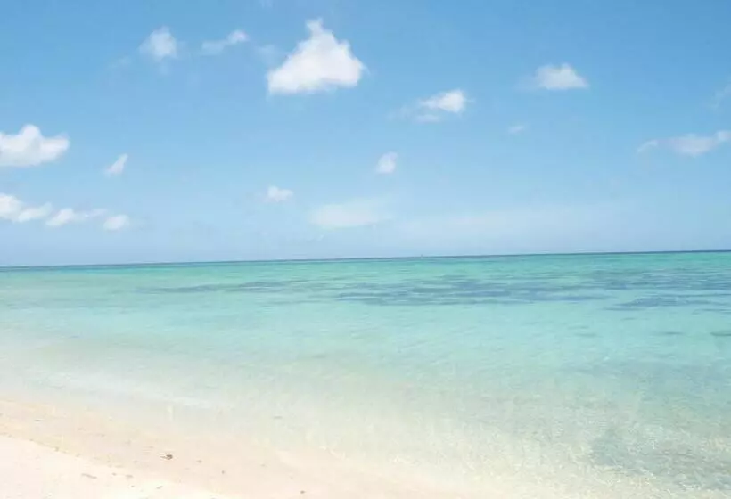 Fotos del hotel Nagura Village:  5