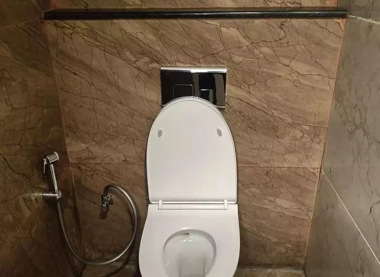 Fotos del hotel Chris  Whitefield:  5