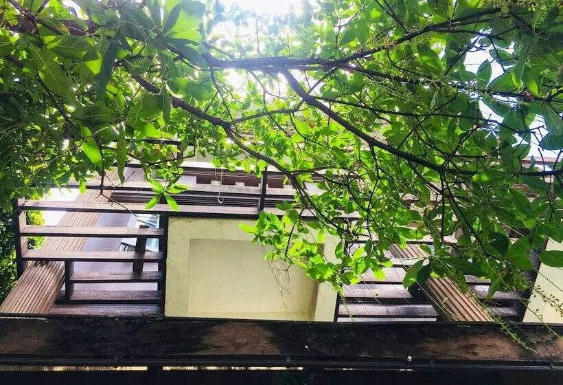 Fotos del hotel Banilah:  22