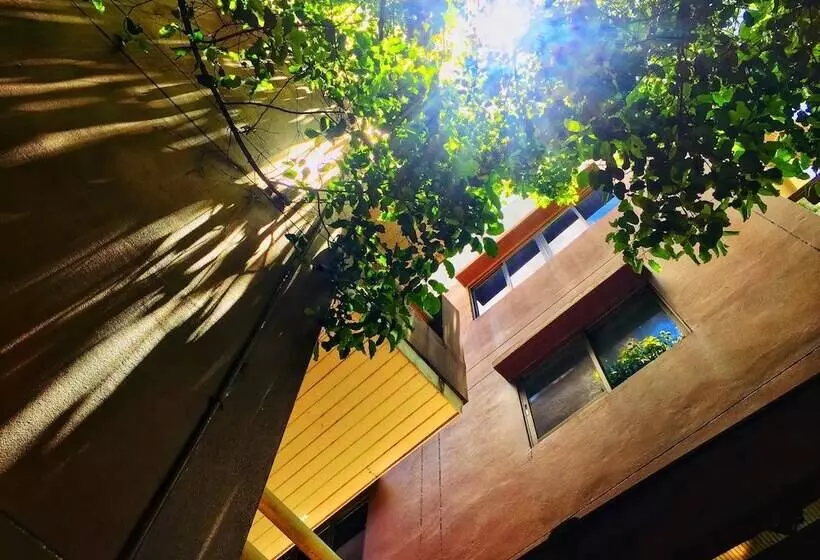 Fotos del hotel Banilah:  8