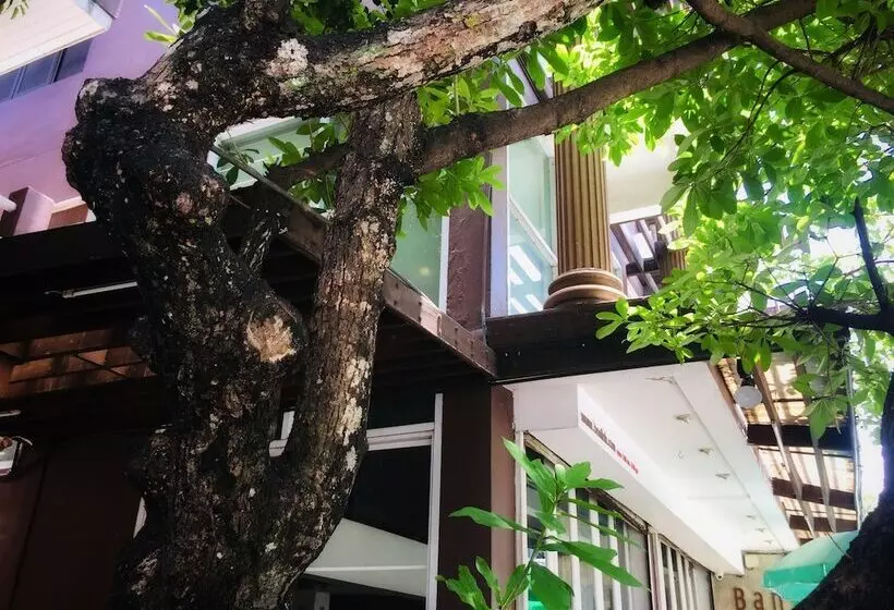 Fotos del hotel Banilah:  17