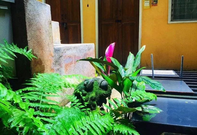 Fotos del hotel Banilah:  11