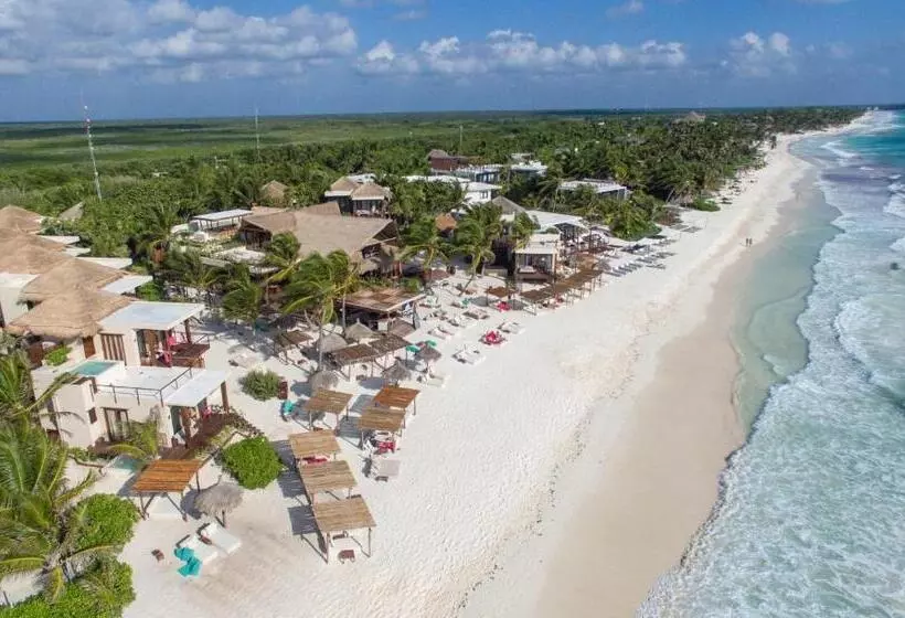 Fotos del hotel La Zebra A Colibri Boutique:  7